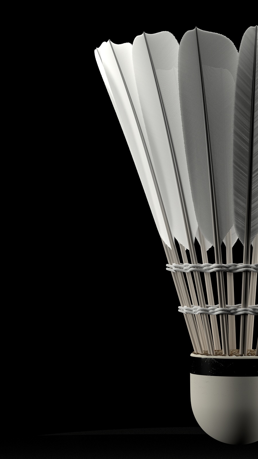 球队采用夹 球队采用夹