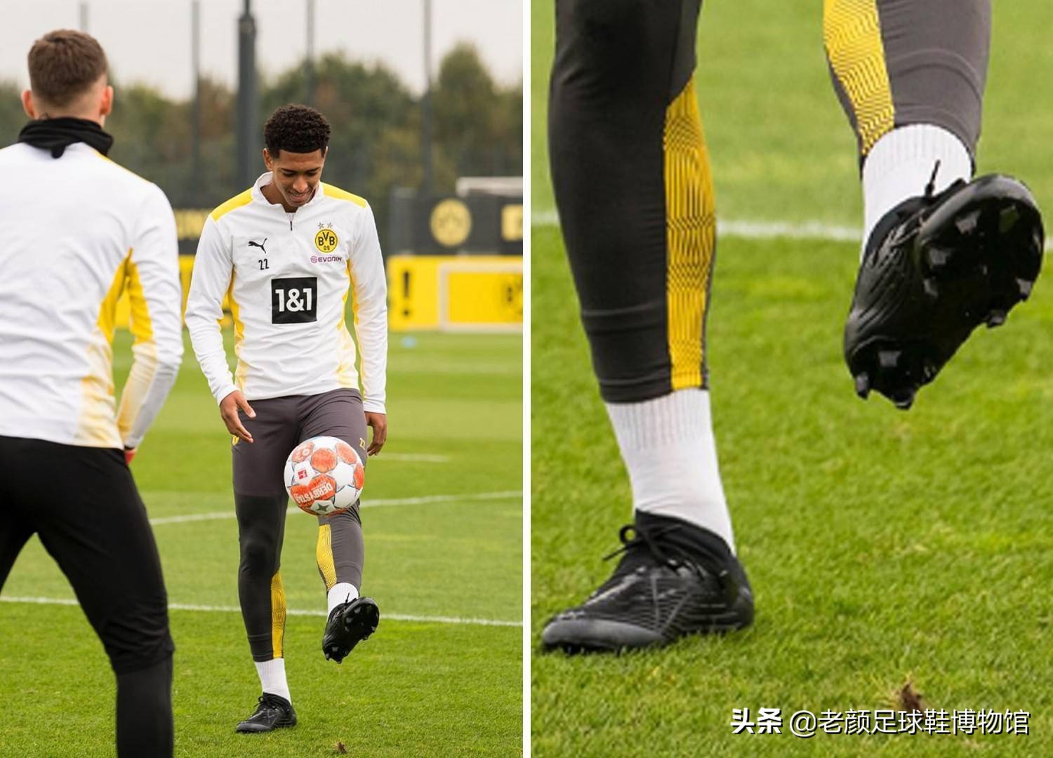 切尔西的青 切尔西的青